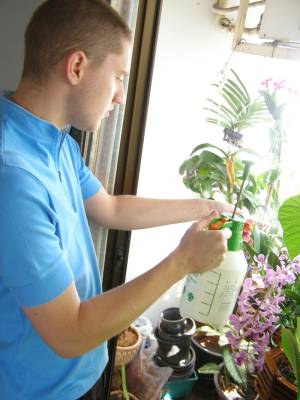 Saveti za razmnožavanje sobnih biljaka
